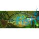Coen River Banded Rainbow