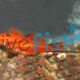 Red Comet Swordtail 