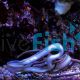 White Ribbon Eel 