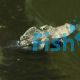 Signal Goby MED