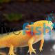 Axolotl - Walking Fish Golden