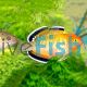 Empire Gudgeon