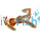 Male Pineapple Mosaic Guppy