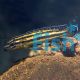 Julidochromis Regani Kipili 5cm