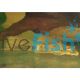L/F Marble Bristlenose Catfish 