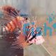 Lionfish Devil Haz - Small