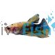 Male Betta Plakat Yellow Koi 5cm