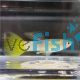 Male Bumblee Bee Guppy
