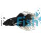 Male Crowntail Black Butterfly Betta