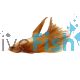 Male Halfmoon Betta Super Gold 