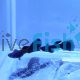 Male Moscow Black Guppy 3cm