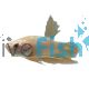 Male Shortfin Dragon Gold Betta 4cm