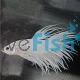 Male White Crowntail Betta