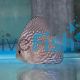 Mosaic Turquoise Discus