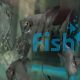 Paraiba Smokey Angelfish