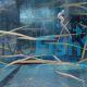Pipefish - Freshwater Short Snout