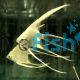 Platinum Veiltail Angel Fish