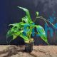 Polygonum - Native Blue Stricta - Emersed - Pot 