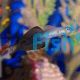 Black Scissortail Dartfish Goby 
