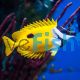 Rabbitfish Foxface One Spot 