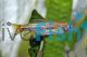 Sarawak Rasbora 3.5cm