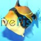 Rectangle Triggerfish