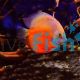 Red Passion Discus 