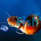 Red Ramshorns Snail - Medium