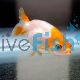 Ranchu Red & White
