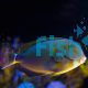 Ringtail Tang - Medium