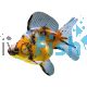 Calico Ryukin - Broadtail 