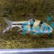 Spanner Barb - Barbode