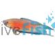 Super Red Paradise Fish 4cm 
