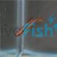 Twin Stripe Pencilfish