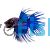 Blue Crowntail Male Fighter