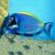 Blue Powder Tang