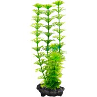 DecoArt Plant Ambulia Small 15cm