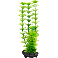 Decoart Plant Ambulia - Medium 23cm