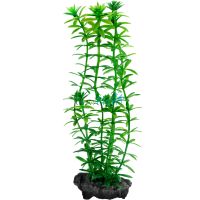 Decoart Plant Anacharis - Small 15cm