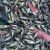Silver - Perch