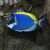 Tang Powder Blue