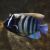 Angelfish Six Bar - Euxiphipops sextriatus
