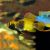 Apistogramma Nijsseni