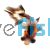 Assorted Butterfly Tail 