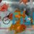 Assorted Oranda