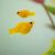 Balloon Gold Molly 3.5cm 