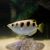 Banded Archer Fish