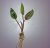 Asst Bareroot Crypts - Large