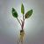 Asst Bareroot Crypts - Medium 