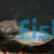 Bengal Danio